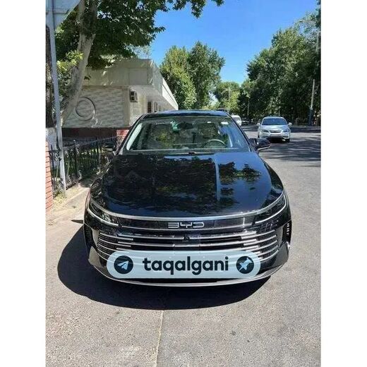 BYD Chazor 2026