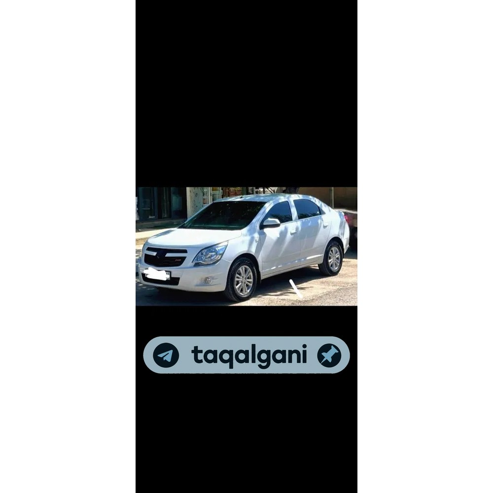 Cobalt 2026, Samarqand — 1-rasm