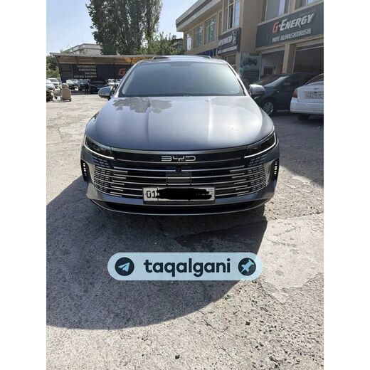 BYD Chazor 2026