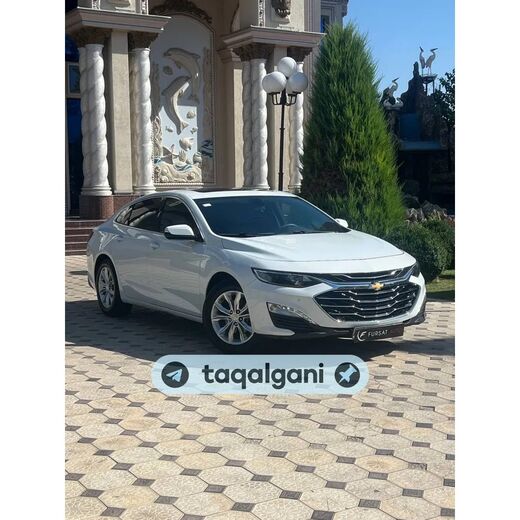 Malibu 2 2020