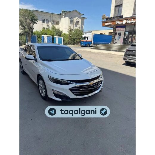 Malibu 2 2020