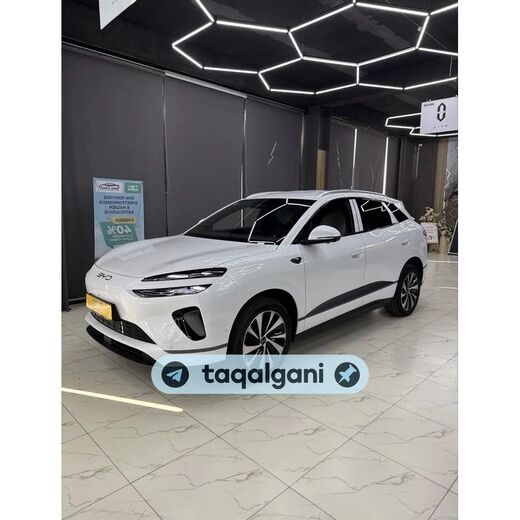 BYD Sealion 06 2025