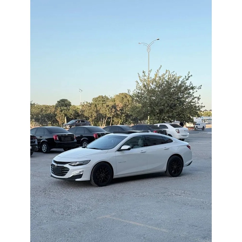 Malibu 2 2019, Buxoro — 3-rasm
