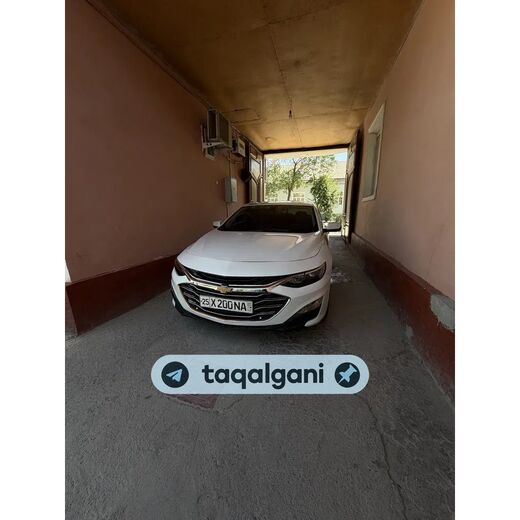 Malibu 2 2018