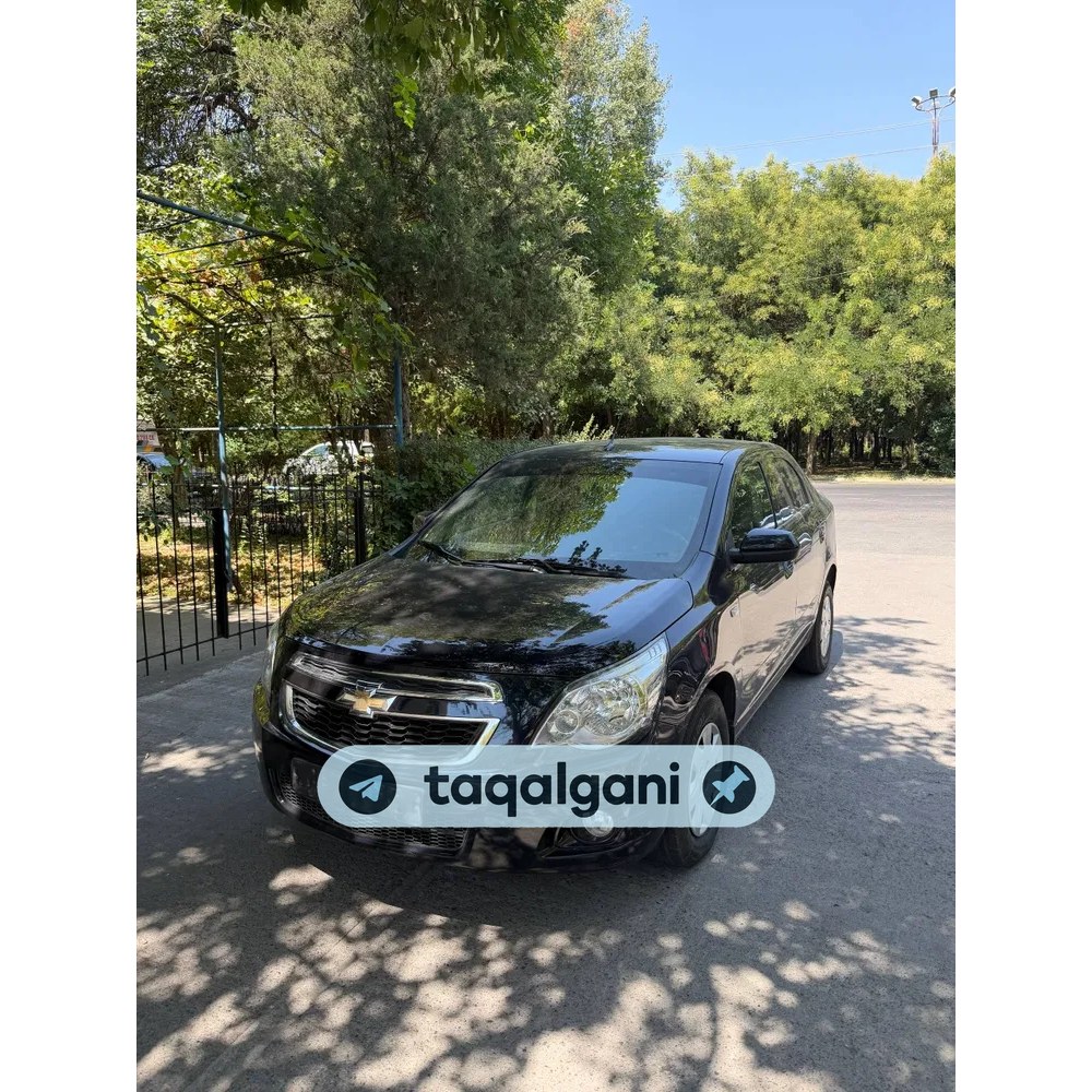 Cobalt 2023, Toshkent — 1-rasm