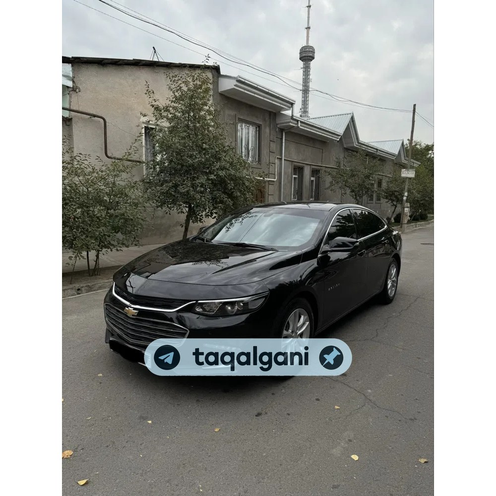 Malibu 2 2018, Toshkent — 1-rasm