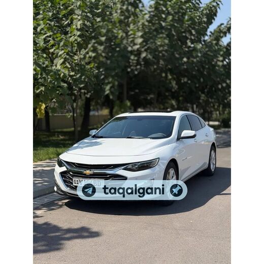 Malibu 2 2020