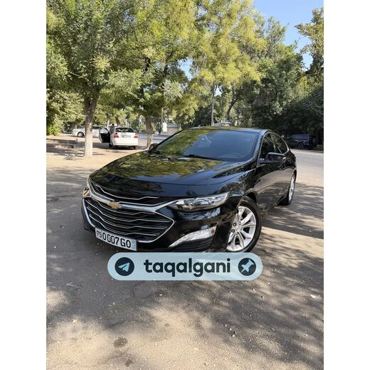 Malibu 2 2020