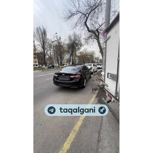 Malibu 2 2020