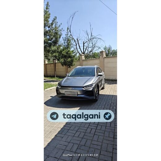 BYD e2 2024