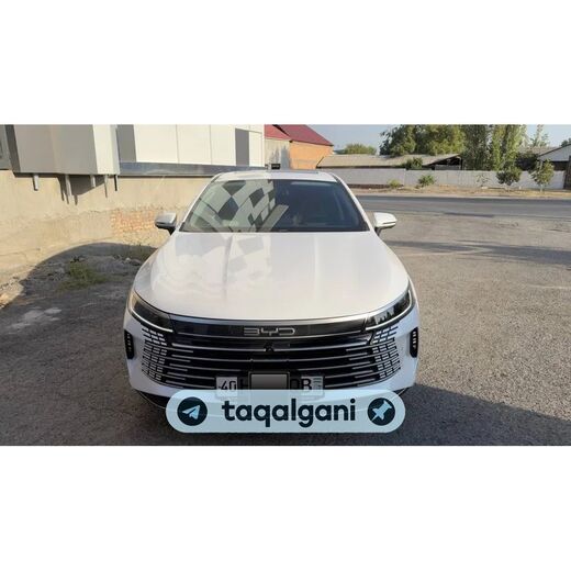 BYD Chazor 2025