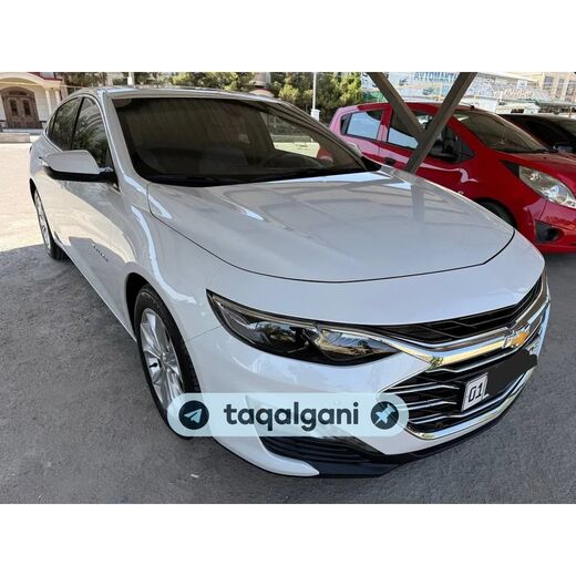 Malibu 2 2019