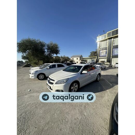 Malibu 1 2013