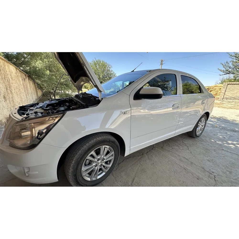 Cobalt 2025, Qashqadaryo — 2-rasm