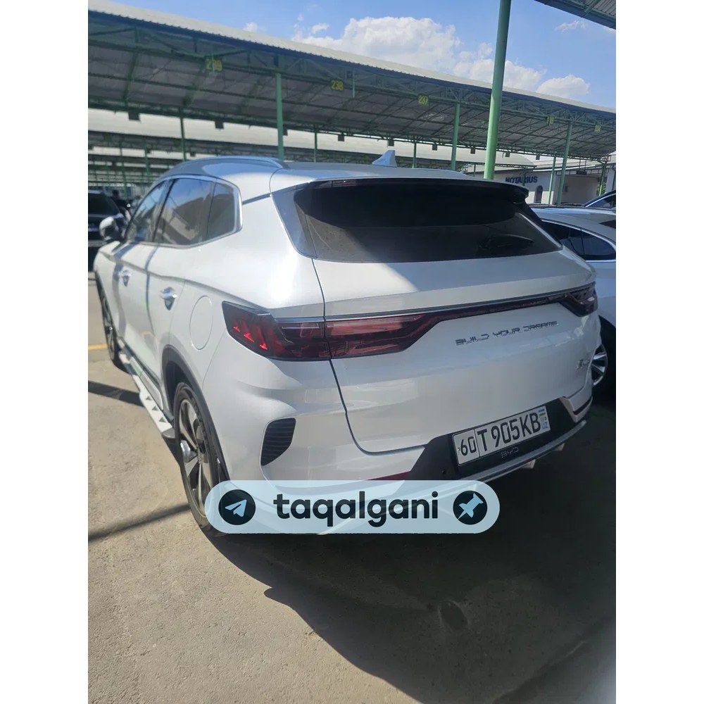 BYD Song Plus Champion 2023, Toshkent — 1-rasm