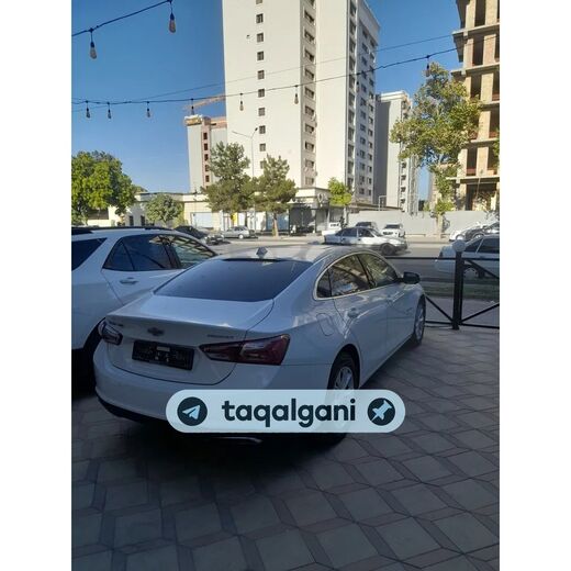 Malibu 2 2020