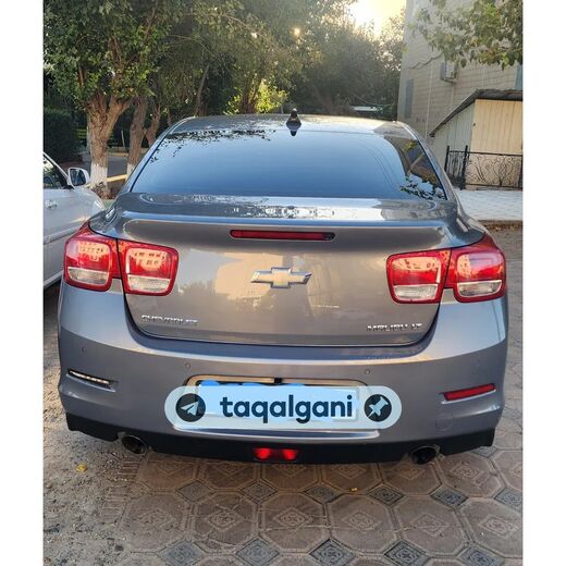 Malibu 1 2015