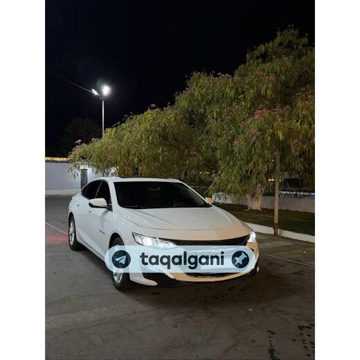 Malibu 2 2022