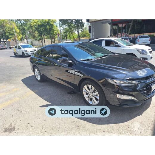 Malibu 2 2025
