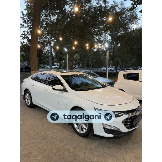 Malibu 2 2020