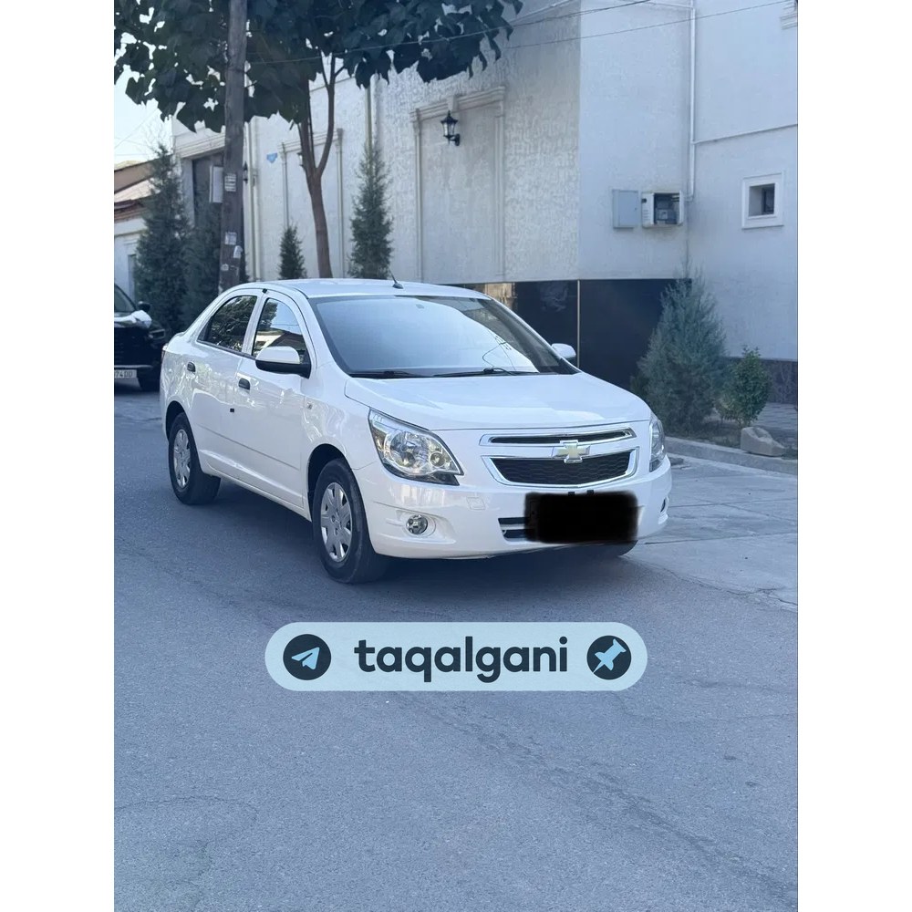 Cobalt 2020, Samarqand — 1-rasm