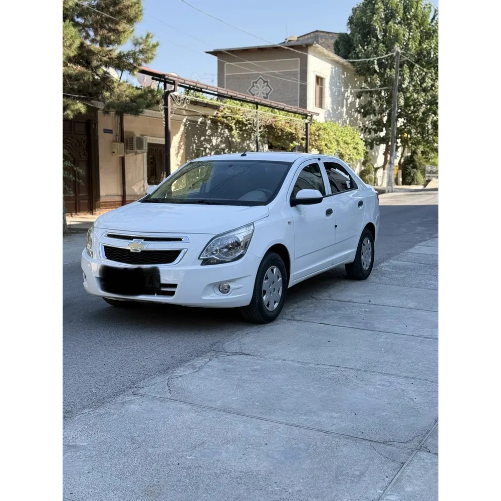 Cobalt 2020, Samarqand — 3-rasm