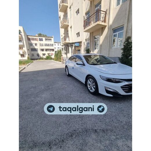 Malibu 2 2020