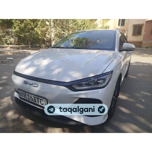 BYD e2 2024