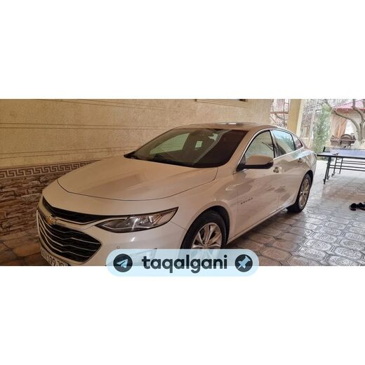 Malibu 2 2020