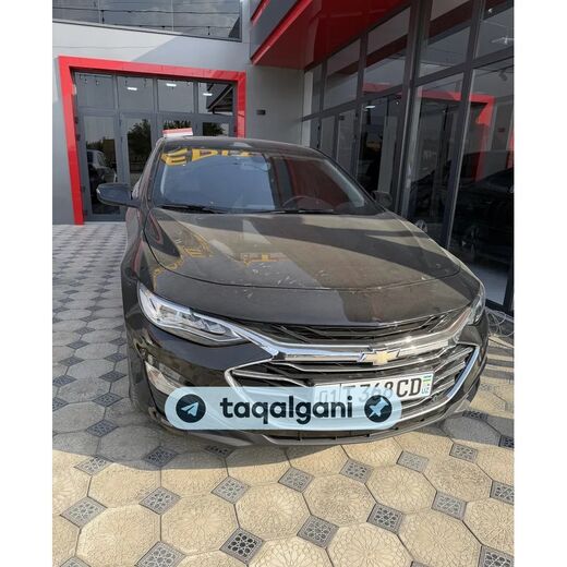 Malibu 2 2020