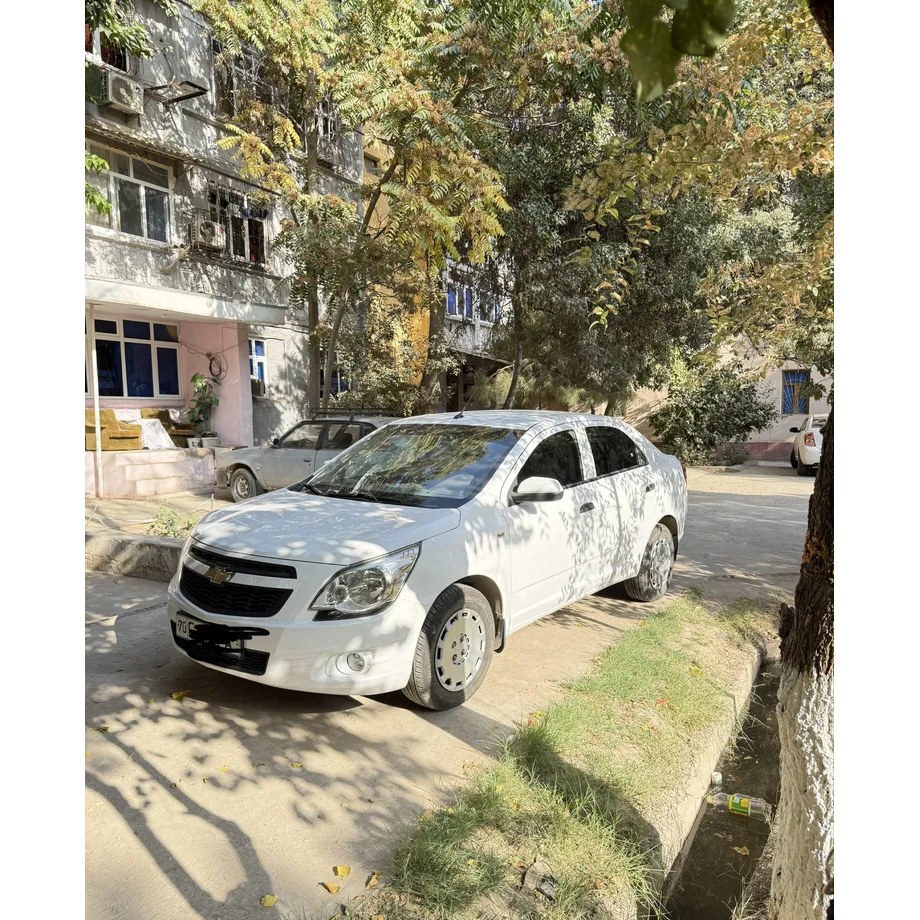 Cobalt 2019, Qashqadaryo — 2-rasm