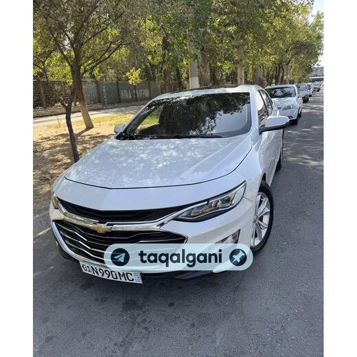 Malibu 2 2019