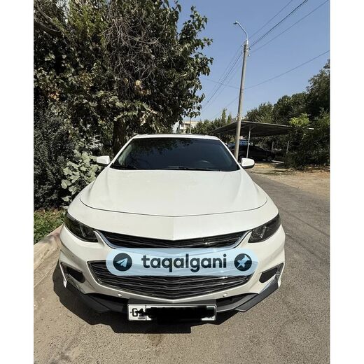 Malibu 2 2018