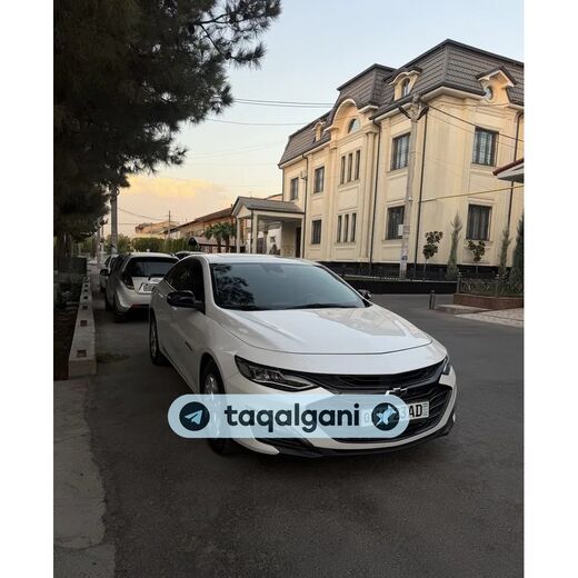 Malibu 2 2024