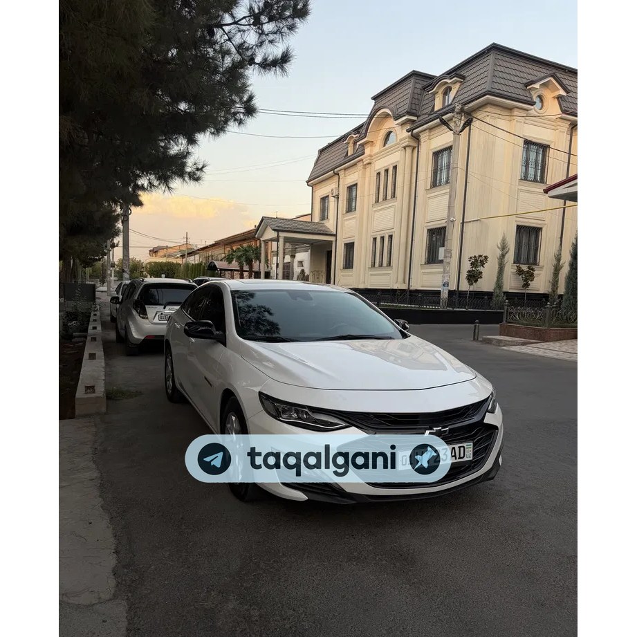 Malibu 2 2024, Toshkent — 1-rasm