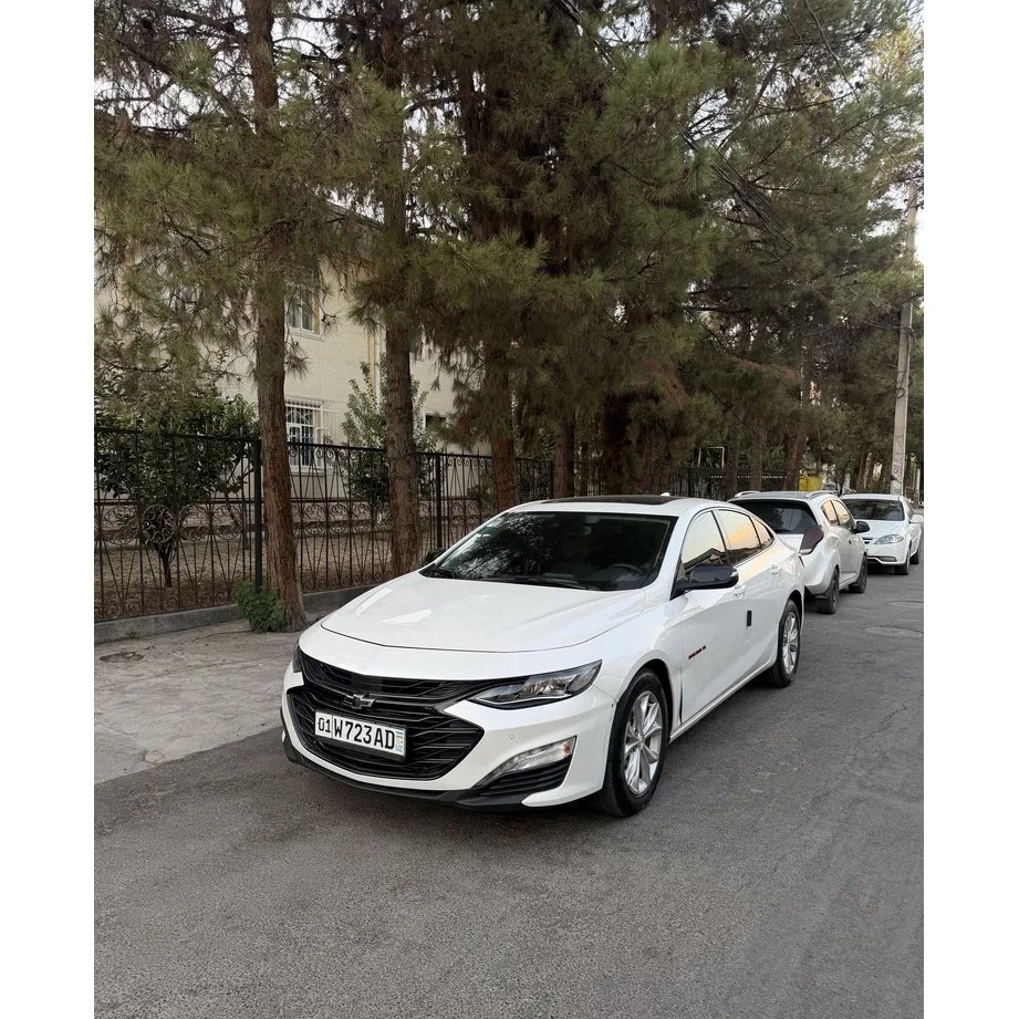 Malibu 2 2024, Toshkent — 2-rasm