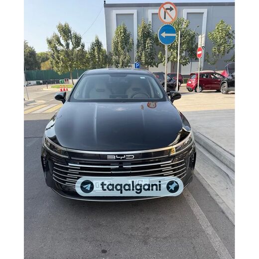 BYD Chazor 2024