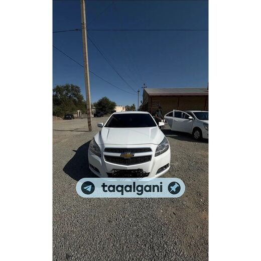 Malibu 1 2012