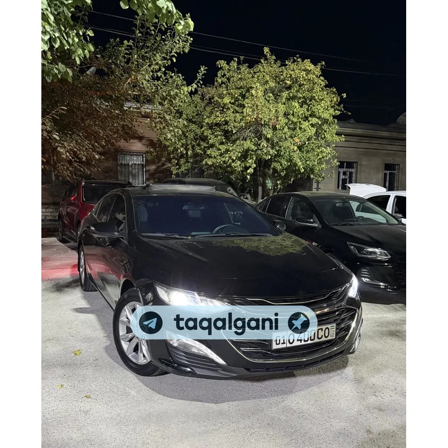 Malibu 2 2019, Toshkent — 1-rasm