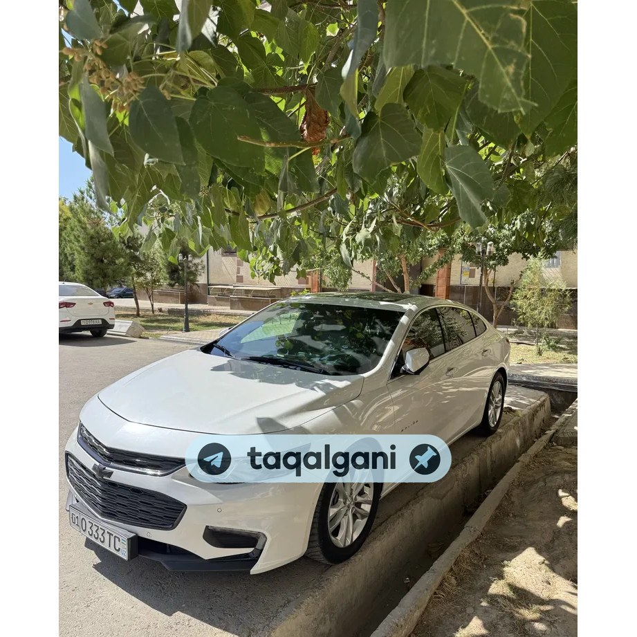 Malibu 2 2019, Toshkent — 1-rasm