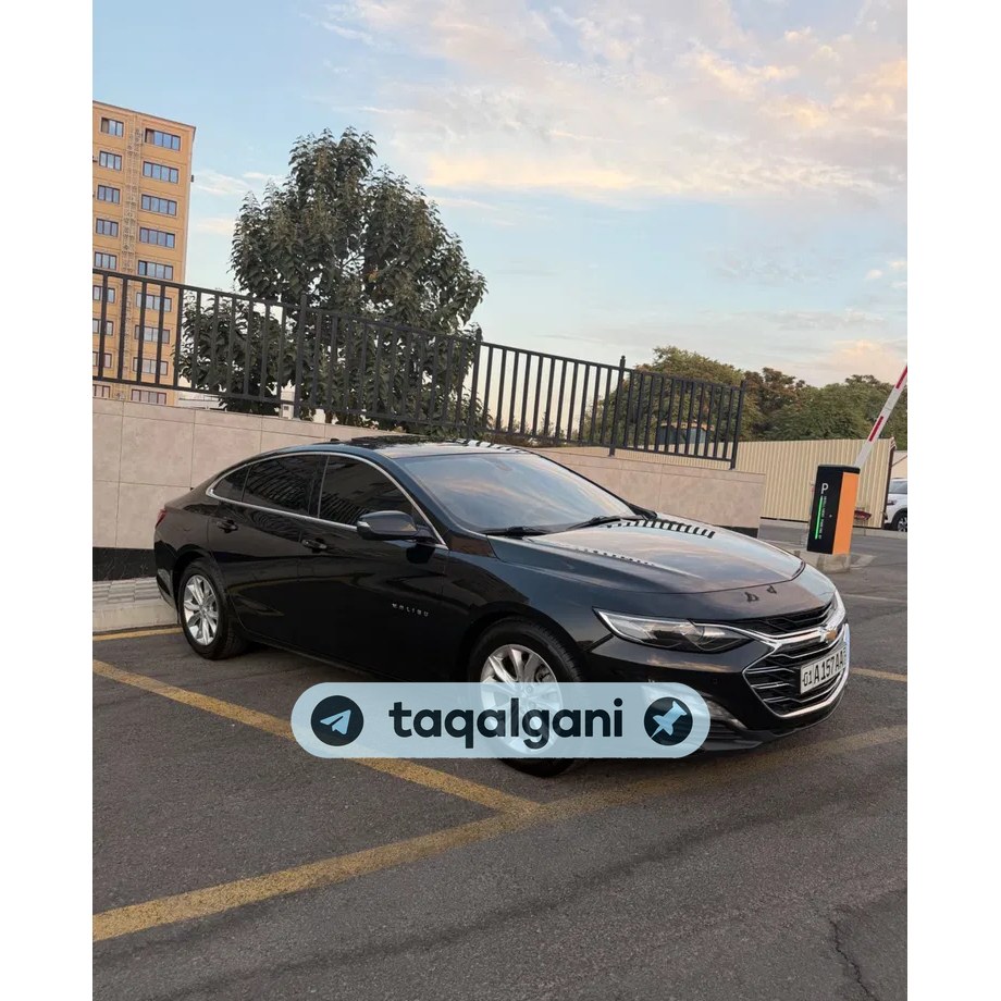 Malibu 2 2019, Toshkent — 1-rasm