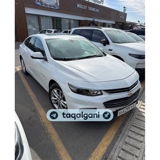 Malibu 2 2018