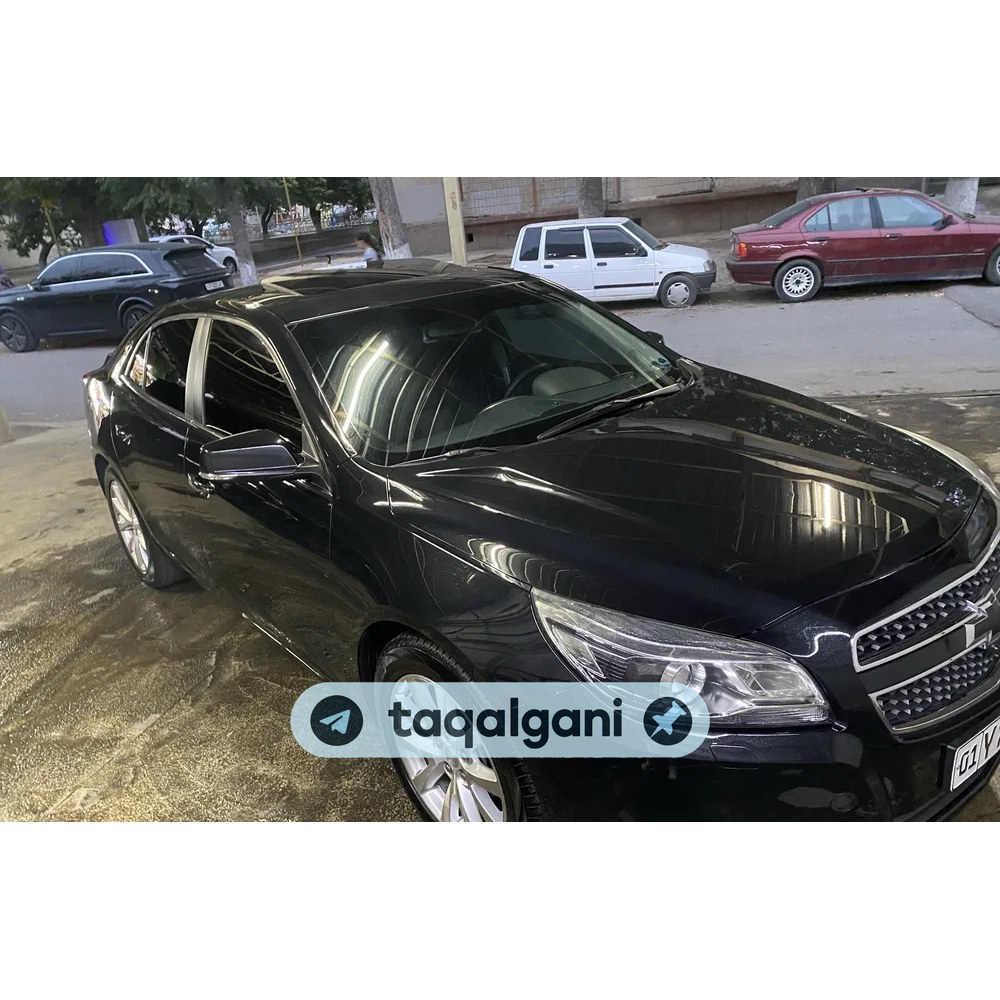 Malibu 1 2015, Toshkent — 1-rasm
