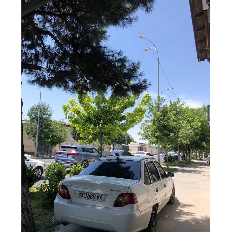Nexia 2 2009, Samarqand — 2-rasm