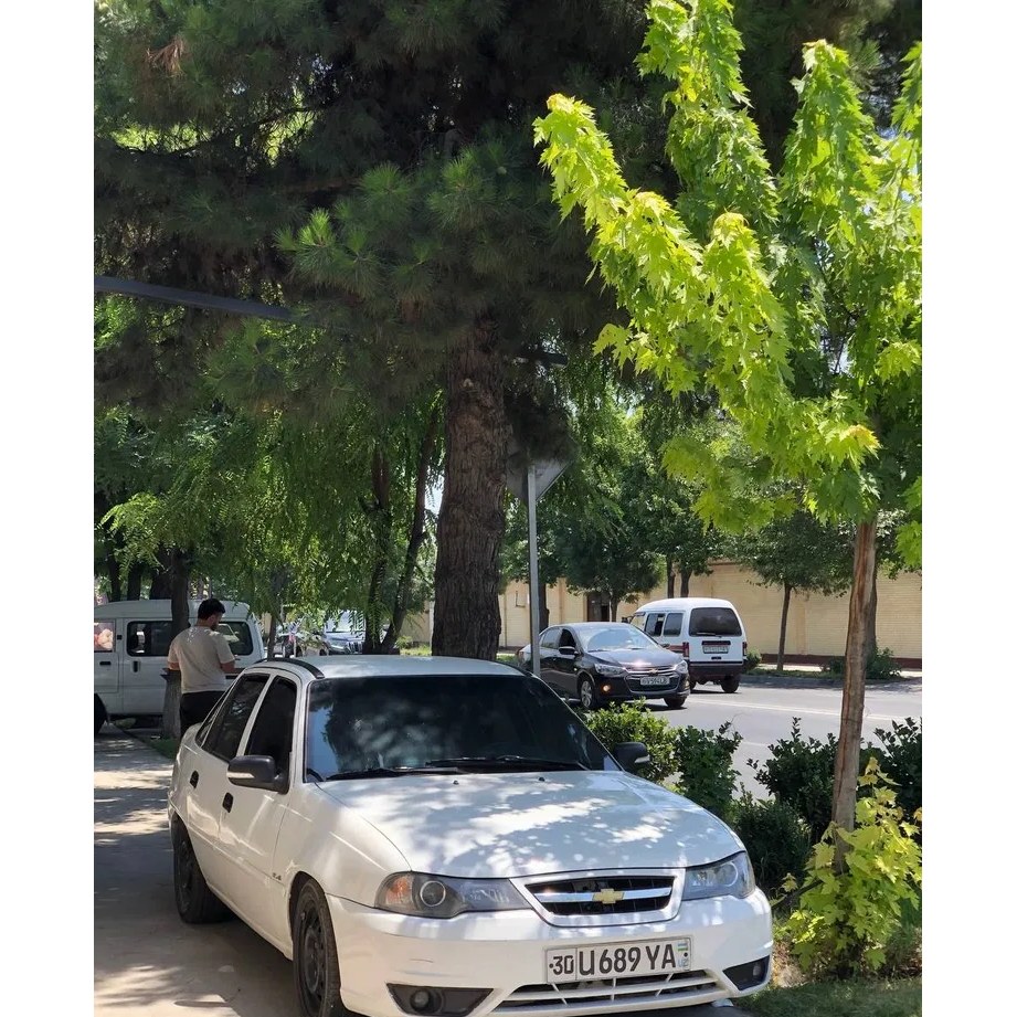 Nexia 2 2009, Samarqand — 3-rasm