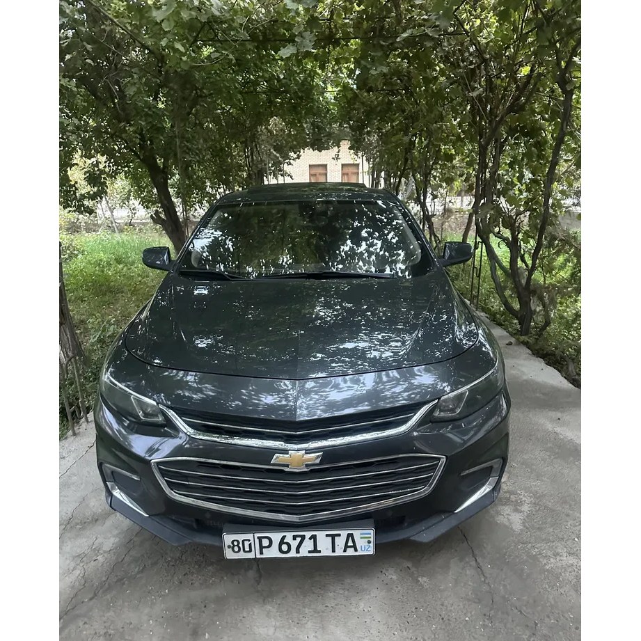 Malibu 2 2019, Buxoro — 4-rasm