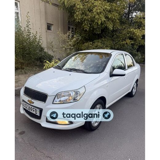 Nexia 3 2019