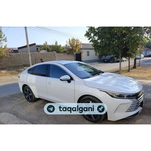 BYD Chazor 2025