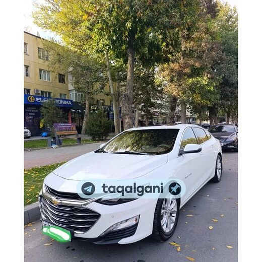 Malibu 2 2020