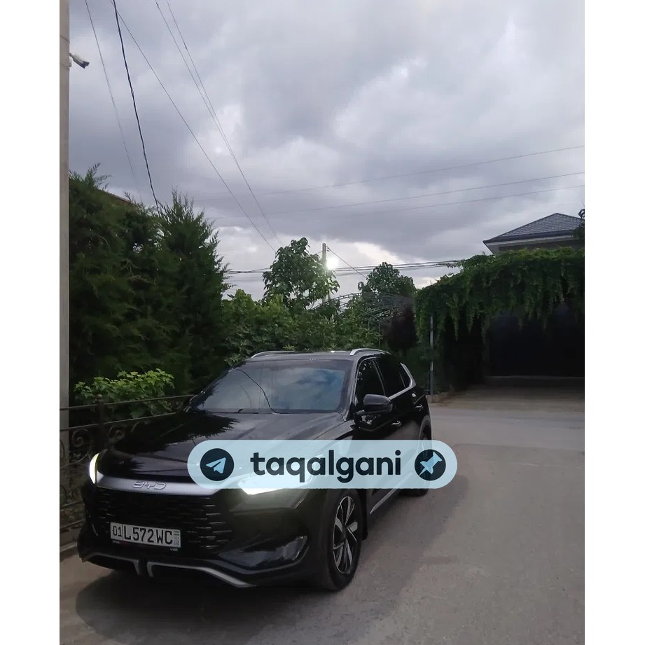 BYD Song Pro DM-i 2024, Toshkent — 1-rasm